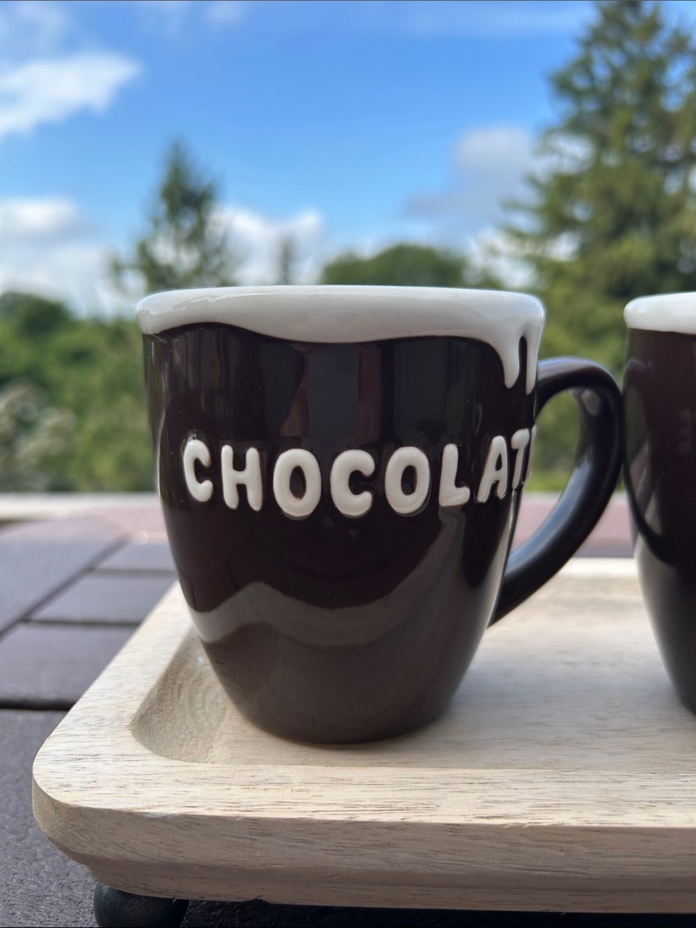 Pottery Barn Chocolate Ceramic Mugs- Brown and White